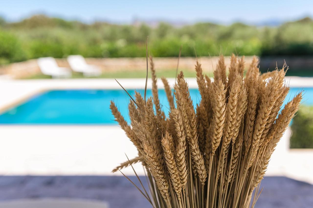 Villa Syndriani Κως Πόλη Εξωτερικό φωτογραφία