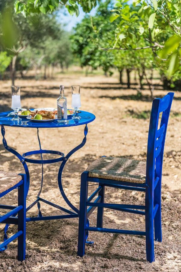 Villa Syndriani Κως Πόλη Εξωτερικό φωτογραφία
